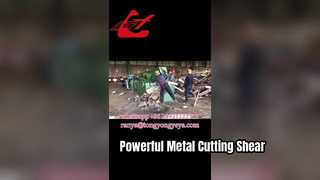 Q43-2500 Geser buaya